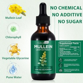 Mullein Drops for Lungs - Mullein Leaf Extract with Chlorophyll for Lung and Respiratory Support, Mullein Herbal Supplements, 2.02 fl oz (60ml)