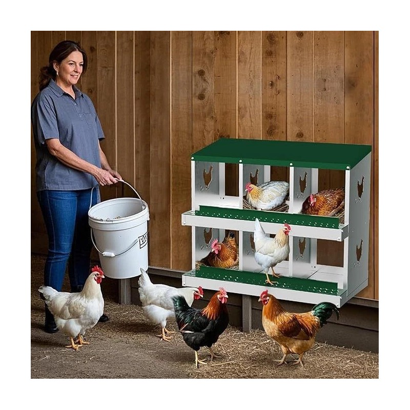 6 Compartment Metal Chicken Nesting Boxes Roll Away Eggs Laying