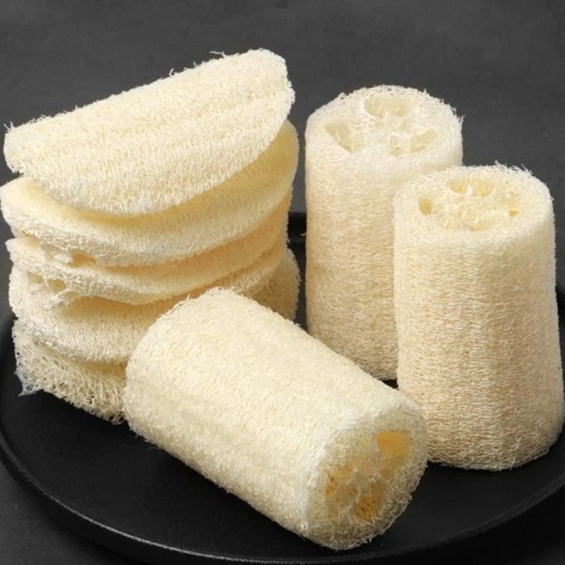 JQBay Super Long Luffa Gourd Seeds – 30 Seeds –