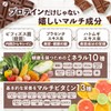 ファイン プロテイン ダイエット AYA'sセレクション 贅沢ショコラ風味 300g