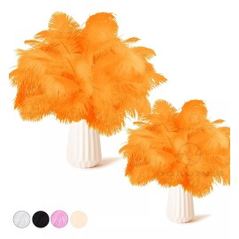 Dolores 20pcs Plumas Avestruz Calidad 15-20cm Y 25-30cm Decoración
