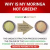 Organic Moringa Capsules Organic - Moringa Oleifera Capsules | Natural
