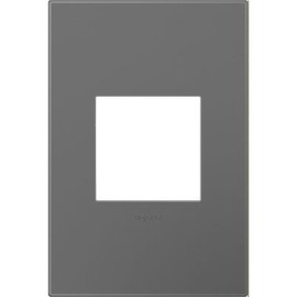 Adorne AWP1G2MG6 1-Gang Wall Plate in Magnesium
