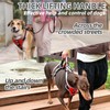 PUPTECK Escape Proof Dog Harness with Padded Handle, No Pull