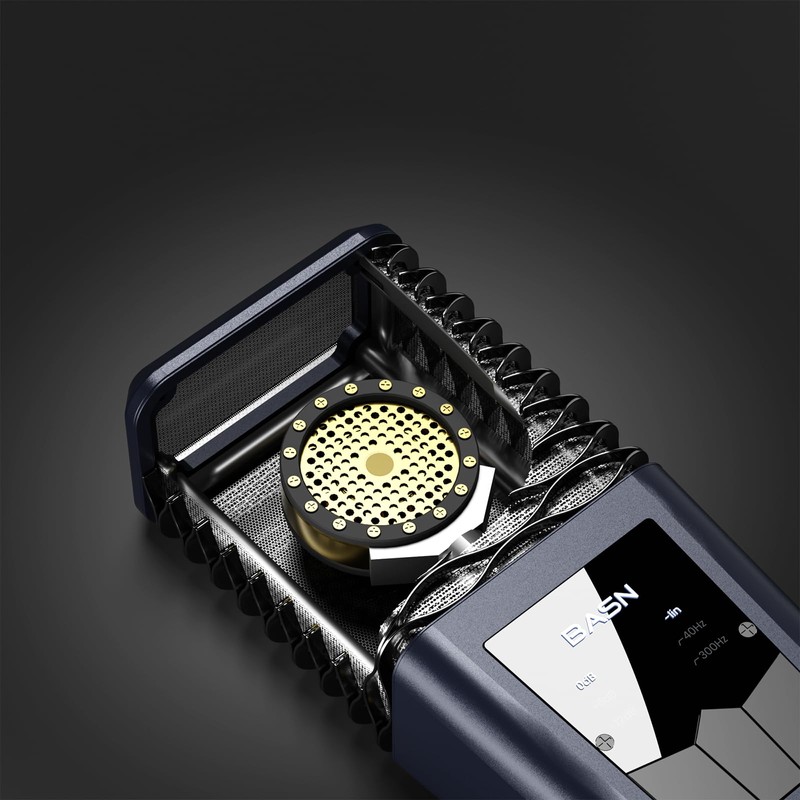 BASN BMS2 Cardioid Condenser Microphone, Large Diaphragm XLR Studio Recording