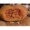 Seminole Pumpkin Organic Seminole Pumpkin Seeds - 20 seeds