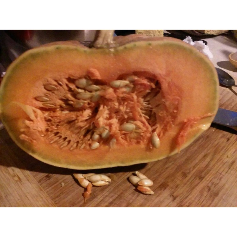 Seminole Pumpkin Organic Seminole Pumpkin Seeds - 20 seeds