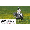 AMKA Double Jointed Solid Stainless Steel Snaffle Bit Thickness 16