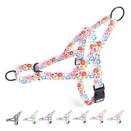 haoyueer No Pull Dog Harness for Small, Medium, and Large Pets - Floral Pattern Nylon Safety Training Harness (White, L)