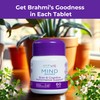 Intus Mind Bacopa – Ayurvedic Supplement with Brahmi for Focus