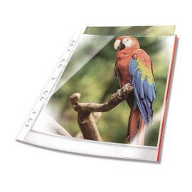 DURABLE Document Wallets A4 Open Top Pack of 10 Transparent Red