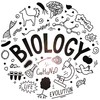 Vinyl Wall Decal Biology Evolution Life Anatomy Genetics Science Stickers