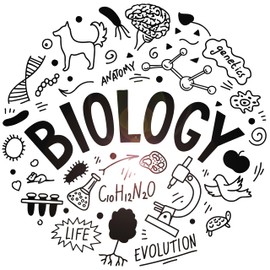 Vinyl Wall Decal Biology Evolution Life Anatomy Genetics Science Stickers Mural Large Decor (g8481) Black
