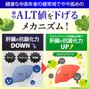 血肝ダブルケア 1袋30日分 血圧 肝臓 サプリ スルフォラファン 血圧を下げる 血中ALT値を下げる GABA 肝機能