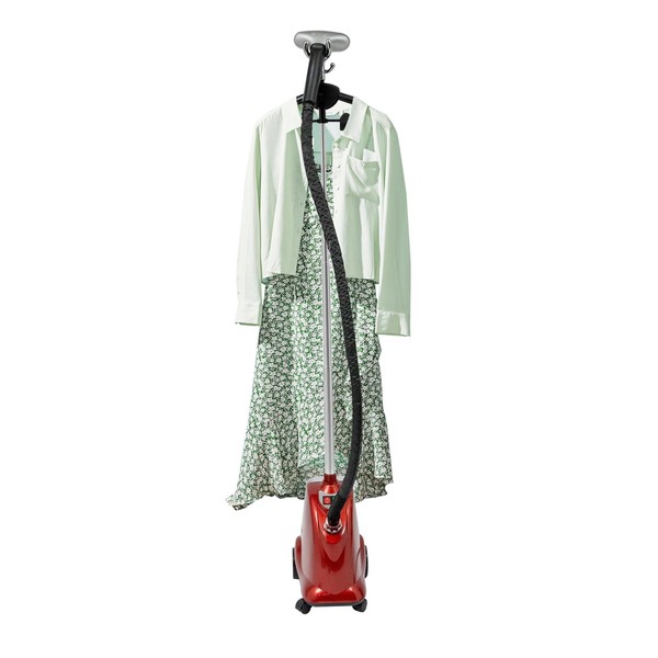 LIECARYAM Standing Steamer, Vertical Steam Iron With 3L Water Tank