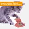 BPS BPS-10510 Windmill Interactive Cat Chew and Brush Teeth Toy