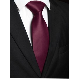 RBOCOTT Maroon Tie Mens Necktie for Business and Wedding Party(17)