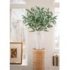 Faux Eucalyptus Stems Willow Eucalyptus Leaves 34” Long Fake Salix