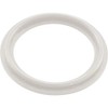Waterway Plastics 806105124593 2" Heater O-Ring/Gasket