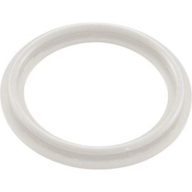 Waterway Plastics 806105124593 2" Heater O-Ring/Gasket