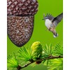 KALLAK Metal Acorn Hanging Bird Feeder Outdoor Decoration