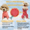 Dog’s Recovery Suit Post Surgery Shirt for Puppy, Full Coverage