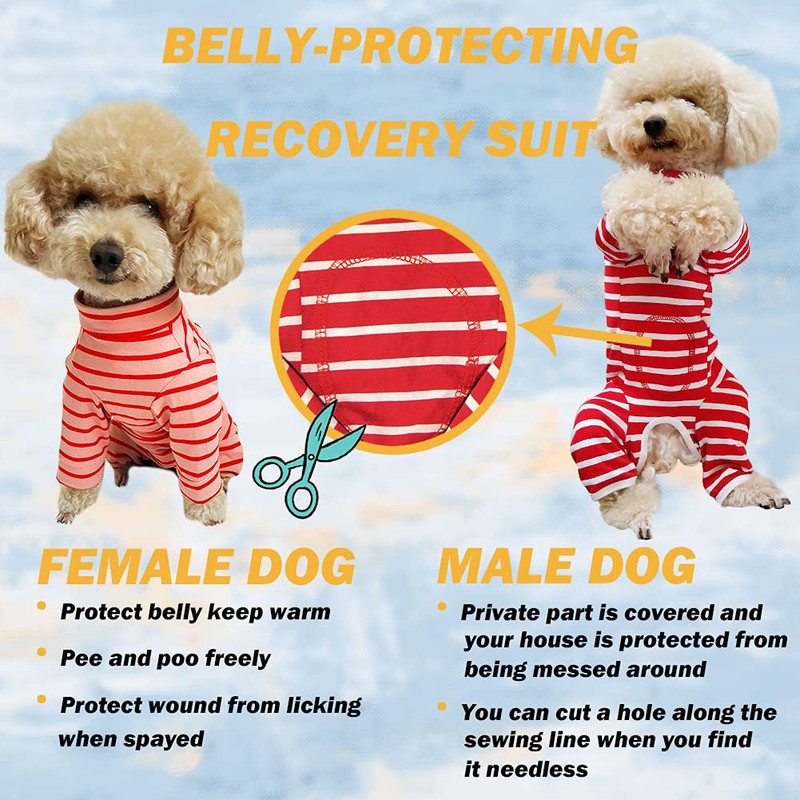 Dog’s Recovery Suit Post Surgery Shirt for Puppy, Full Coverage