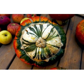 Pumpkin Turk’s Turban 10 Seeds Ornamental Decorative Turban Squash Mushroom Pumpkin Gourd Non-GMO