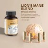 Lion's Mane + Maca + Ginseng | 4 Adaptogenos |