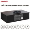 Sharp CD-BH10 Vintage Style Retro Look Micro Component Wireless Bluetooth