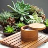 IBLAY Wooden Salt Box for Kitchen or Dining Table Spice