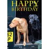Fox Red and Black Labrador Dog Birthday Card