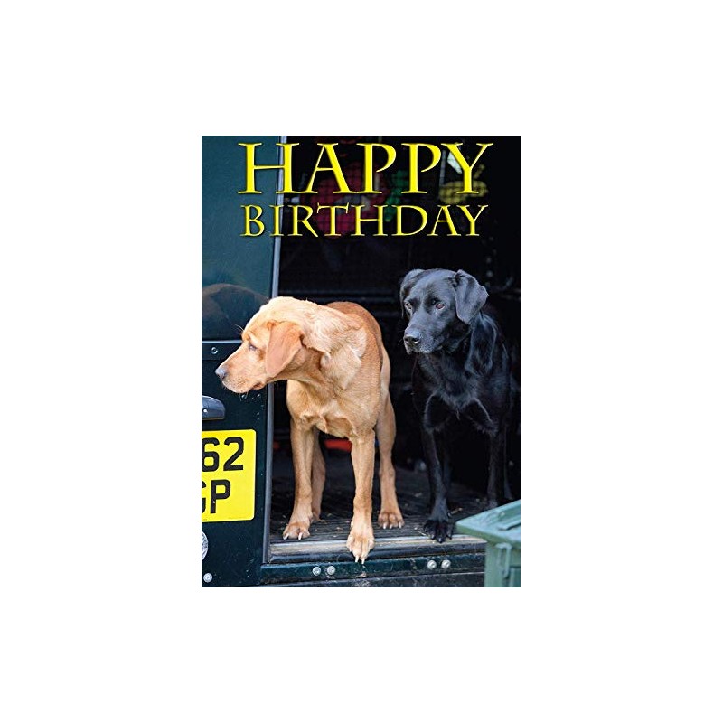 Fox Red and Black Labrador Dog Birthday Card
