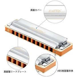 East top Harmonica Blues Harmonica 10 Hole Harmonica G Tone 10 Hole 20 Tone Brass Cover Canvas Case Clean Cloth Professional Diatonic Harmonica(T008S-SR-G-gm)