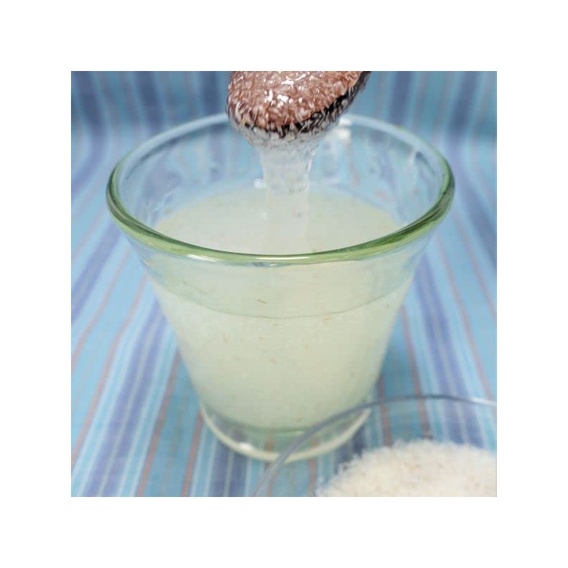 ダイエット オオバコ サイリウム ハスク (Psyllium husk) 40g【インド産】【 プランタゴオバタ オオバコ 種皮