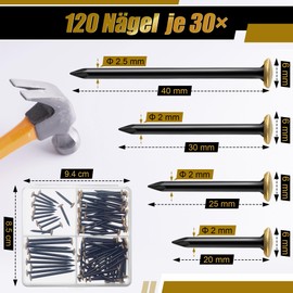 Enhon 120 Picture Nails Set (20/25/30/40 mm) - Stainless Steel Nails with Gold-Coloured Head for Concrete, Brick and Wood - No Drilling - Protects the Wall - Includes Practical 4-Compartment Box