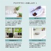 Lavinsara Cineol 10ml Incent Essential Oil Essential Oil