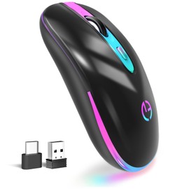 TaIYanG Wireless Mouse, 2.4G Portable Optical Quiet Cute Mouse with USB Receiver and Type C Adapter, 3 Adjustable DPI LED Wireless Mouse for Laptop, Computer, PC, MacBook, Desktop