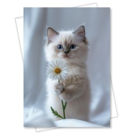 CATNEVERLAND Ragdoll Kitten with Daisy Greeting Card Cute Blue-Eyed Cat Blank Card for Pet Lovers, Premium 5x7 Stationery with Envelope – Made in USA by Pet-Friendly Business