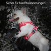 PoyPet No-Pull Dog Harness, Reflective Dog Harness for Large Dogs,