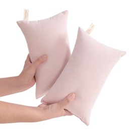 NTBAY 2 Pack Tiny Pillows, 11"x7" Microfiber Mini Pillows for Travel, Pets, Soft Machine Washable Small Pillows for Neck, Wrist, Lumbar and Knee, Pink