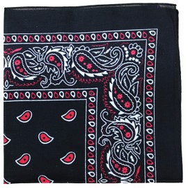 Paisley 100% Cotton Double Sided Bandana - 22 inches (Black and Red)