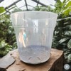 karenplantsplants™ 9" Clear Plastic Nursery Pot (Clear - 10 Pack)