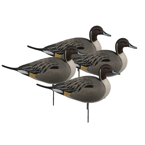 Over-Size Pintail FB-Active Pack (4 Pack)