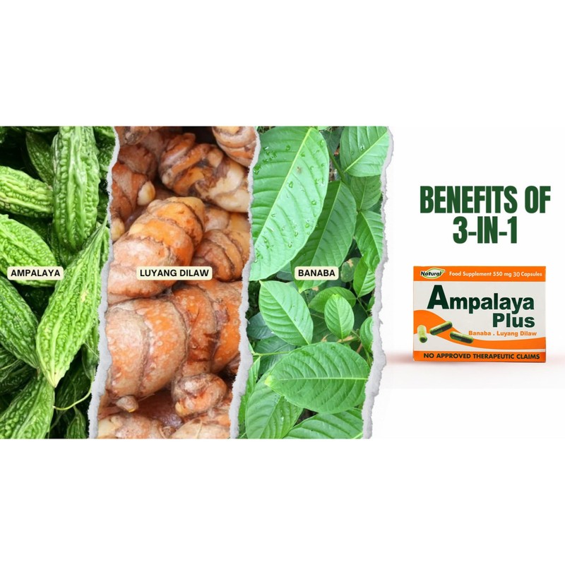 Ampalaya Supplement - 550mg 30 Capsules with Banaba,Turmeric and Bitter