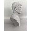 Star Trek The Original Series Spock 3D printed Bust 6.75Inches