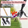 Weed Puller Tool,Stand Up Weed Puller,Detachable Weed Puller,Weed Puller Tool