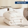 Paxrac Beige Comforter Set Queen Size, Cream 3 Pieces Comforter