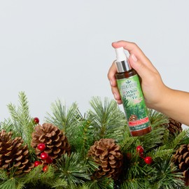 Scentsicles Scent Mister White Winter Fir and Spiced Pine Cones - 2 Pack of Spray Bottles (4 Oz Each)