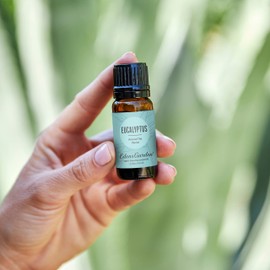 Edens Garden Eucalyptus "Around The World" Essential Oil, 100% Pure Therapeutic Grade (Undiluted Natural/Homeopathic Aromatherapy Scented Essential Oil Singles) 30 ml